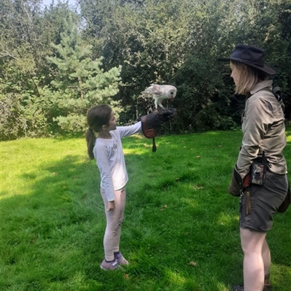 Customer Photo of Birds of Prey Horsham West Sussex